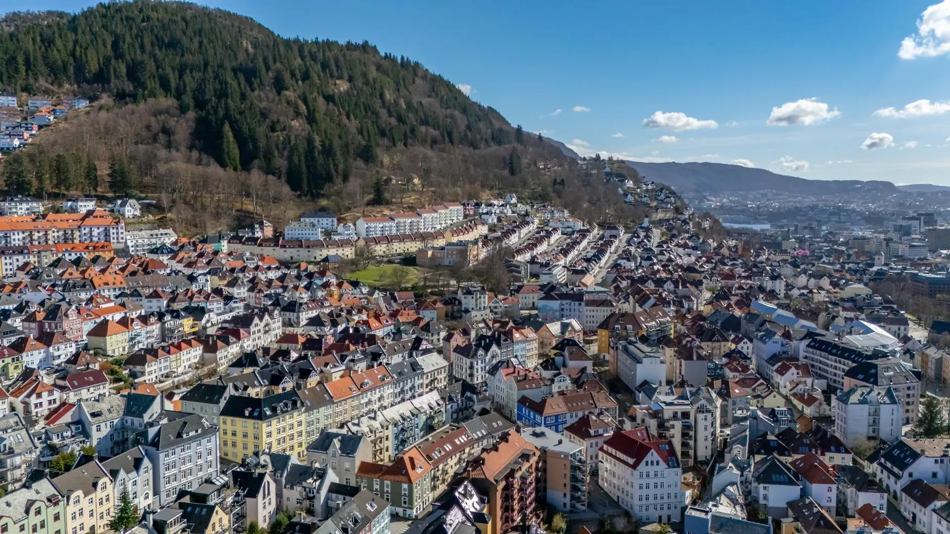 Apartment Green oasis with balcony and sunset view Bergen Norway